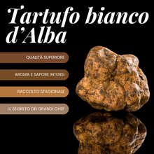 Carica l&#39;immagine nel visualizzatore di Gallery, Tartufo Bianco d&#39;Alba Tuber Magnatum Pico
