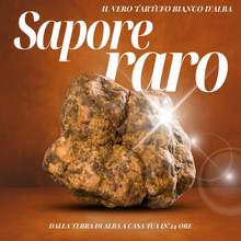 Carica l&#39;immagine nel visualizzatore di Gallery, Tartufo Bianco d&#39;Alba Tuber Magnatum Pico
