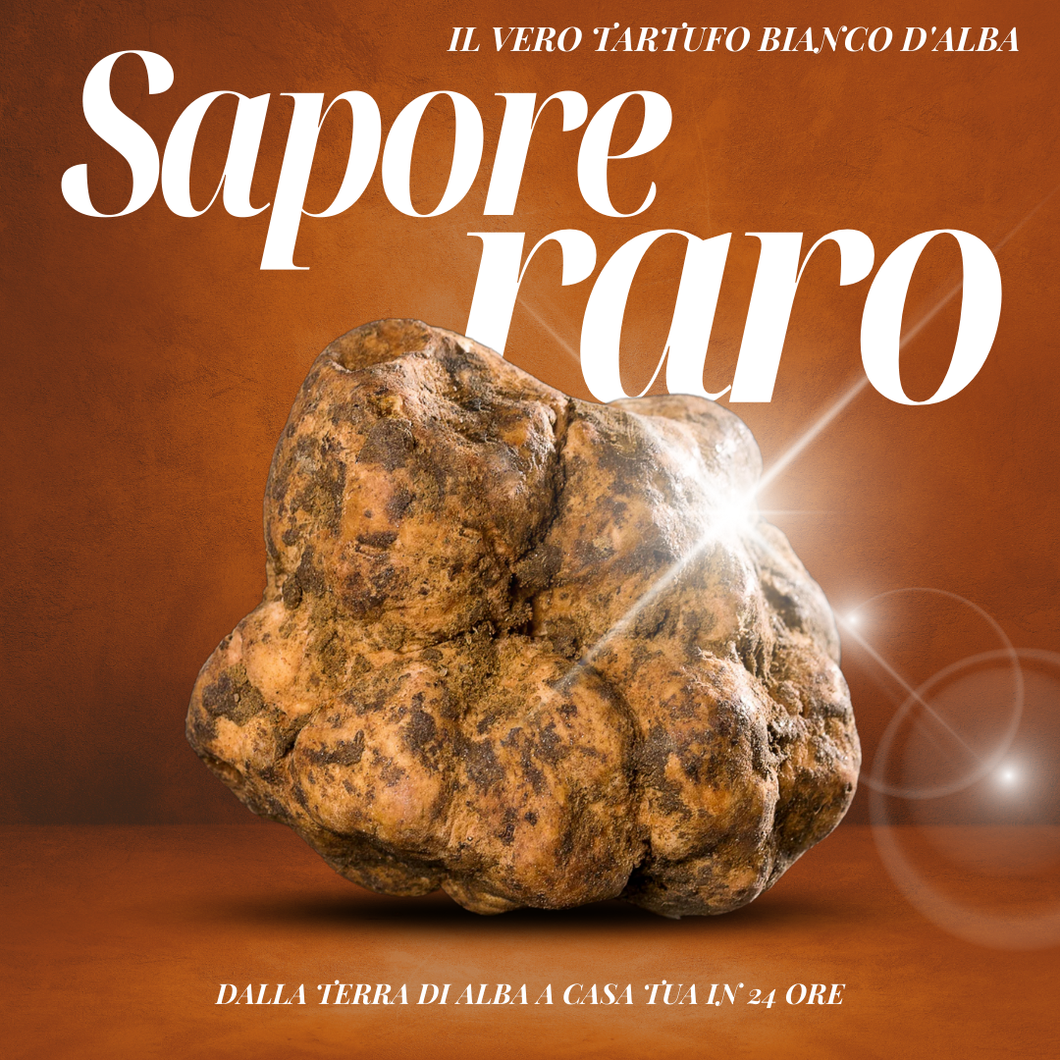 Tartufo Bianco d'Alba Tuber Magnatum Pico